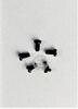 SS-4080610-SP Screw 18-44 L =6.4 Juki Double Needle Lock-Stitch Sewing Machine Spare Part